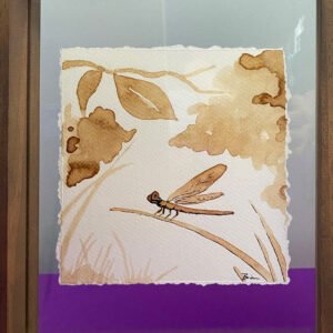 Dragonfly with coffee