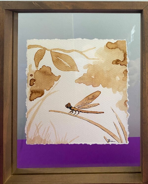 Dragonfly with coffee